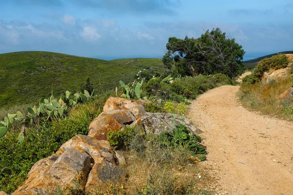 Nature landscape of hiking trail — Stock Photo, Image