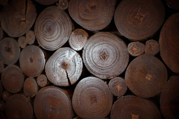 Background of wooden slices — Stock Photo, Image