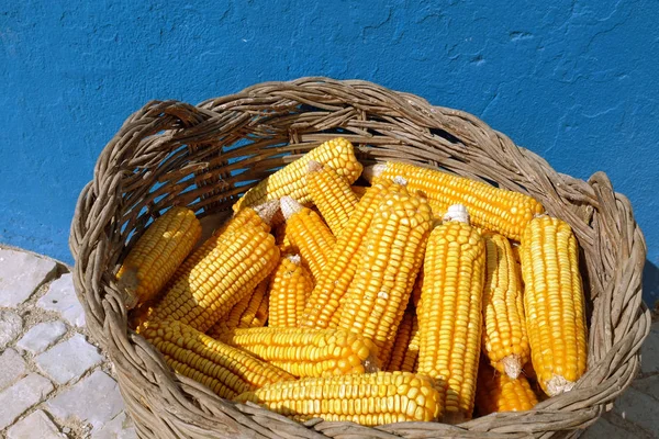 Corn cobs in basket — Stock Photo, Image