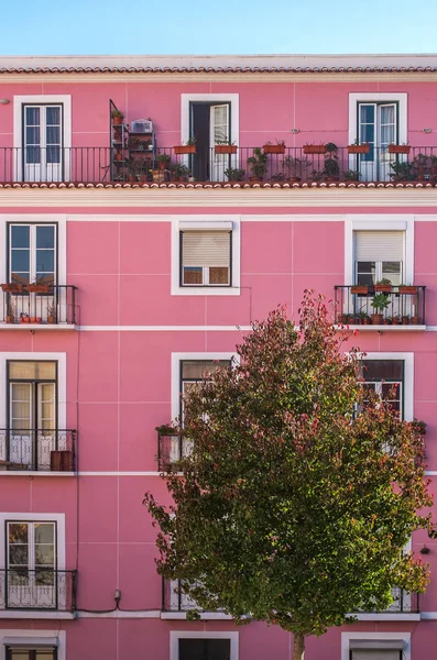 フォア グラウンドでツリーとリスボンのピンク古いビルのファサード — ストック写真