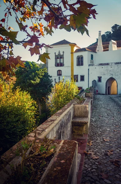 Vista Parte Trás Palácio Nacional Sintra Com Árvores Quintal — Fotografia de Stock