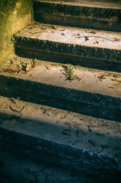 Nahaufnahme Auf Steinstufen Mit Abgefallenem Laub Unter Sanftem Sonnenlicht — Stockfoto