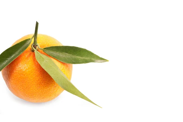 Uma tangerina com folhas — Fotografia de Stock