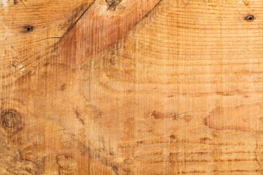 Ahşap doku ağacının bir parçasındaki