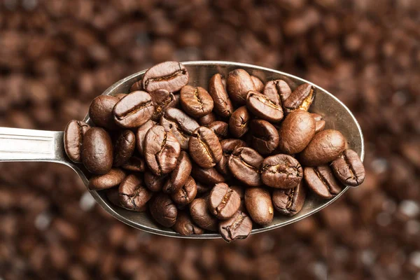 Kávové zrna na lžíci — Stock fotografie