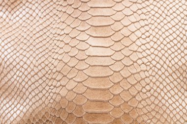 Yılan deri dokusu