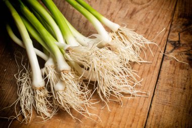 Taze ve yeşil sarımsak