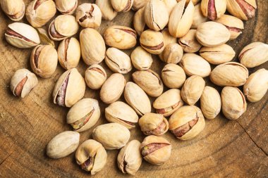 Antep fıstığı ağacı trunck üzerinde