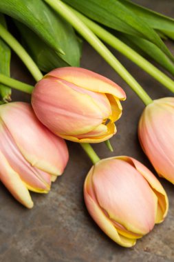 buket pembe ve Sarı laleler