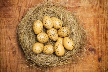 Bıldırcın yumurtası saman yuva üzerinde