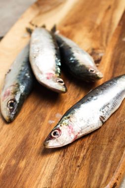 Taze sardalye iyi bir yemek pişirmek hazır