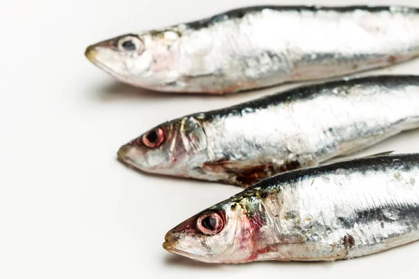 Sardinhas Frescas Prontas Para Cozinhar Bom Prato — Fotografia de Stock