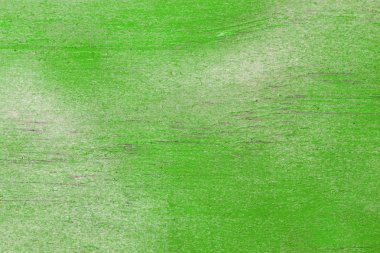 Arka plan ağaç doku yeşil boyalı