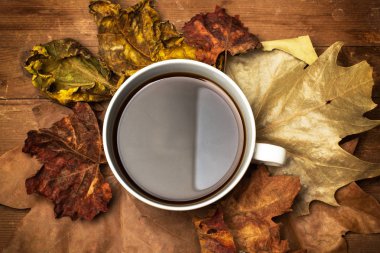 Bir fincan kahve kuru yaprakları ile bir tabloda