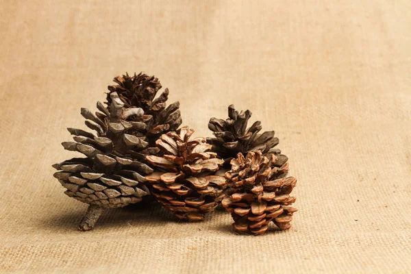 Three Pinecones Napkin — Stock Photo, Image