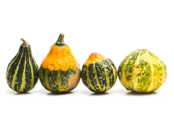 Természetes Zöld Narancs Kis Pumkins — Stock Fotó