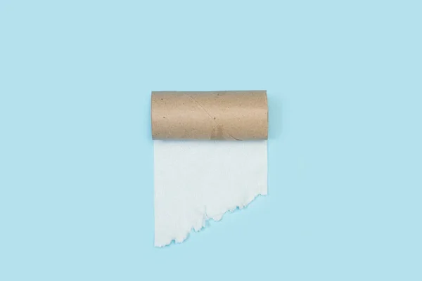 薄い青の背景に紙の最後の部分とトイレ紙ロールのセンター — ストック写真
