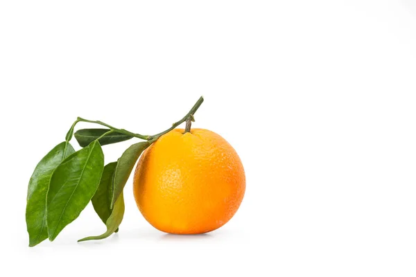 Laranja Com Folhas Verdes Sobre Fundo Branco — Fotografia de Stock