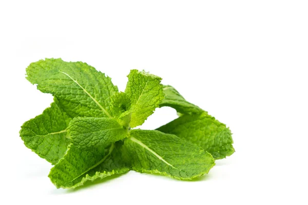 Green Mint Leaves Isolated White Background — Stock Photo, Image