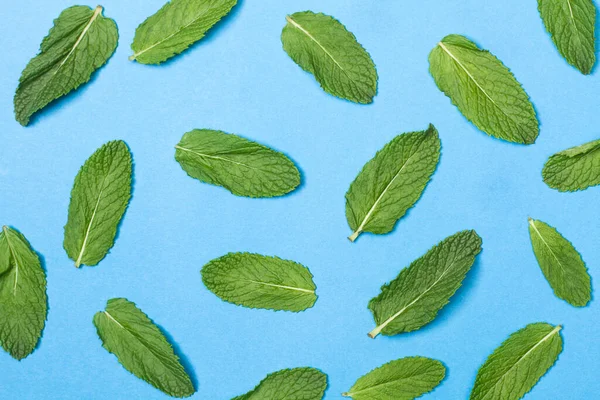 Gröna Mynta Blad Blå Bakgrund — Stockfoto