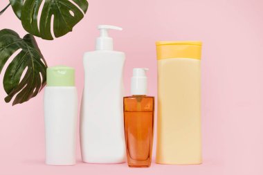 Pembe arka planda canavar yapraklı vücut kremi şişeleri.