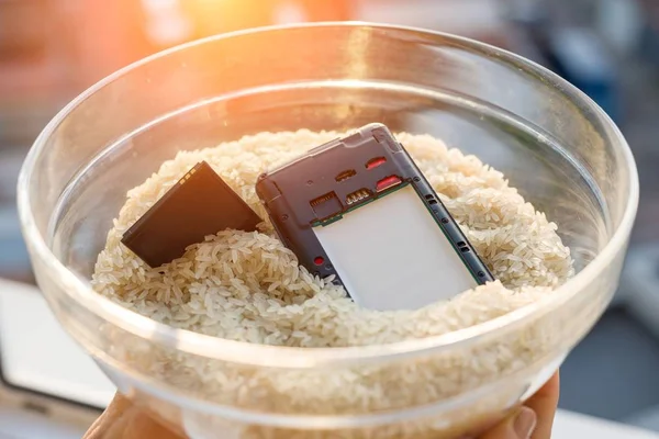 Handy ins Wasser fallen lassen - Fix ist Reis — Stockfoto