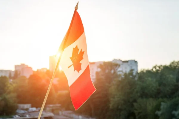 Bandera de Canadá de fondo de ventana al atardecer Fotos De Stock Sin Royalties Gratis