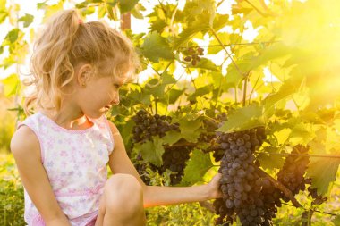 Kız bir avuç üzüm tutuyor.