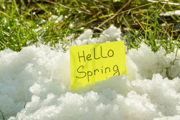 Smältande snö på grönt gräs på nära håll — Stockfoto