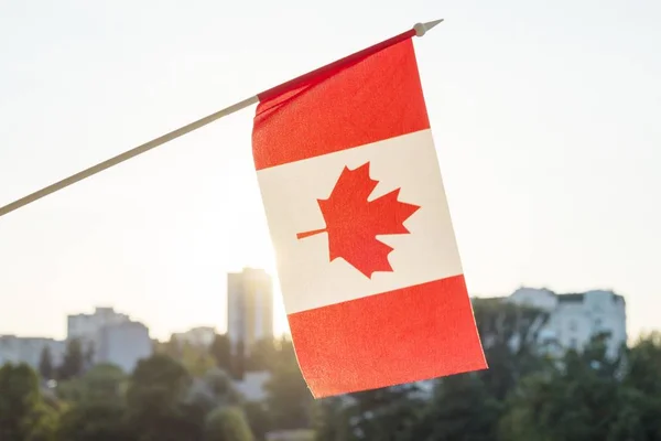 Bandera de Canadá desde la ventana, sobre el fondo del atardecer —  Fotos de Stock