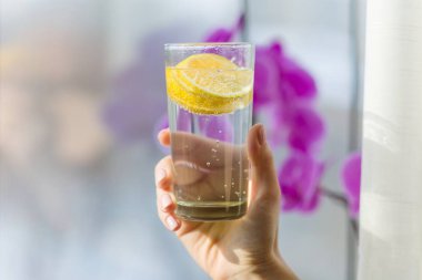 Kadın içme yaz meyve yenileme infüzyon su taze organik limon aromalı.