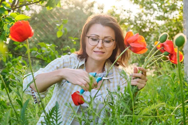 中年妇女在大自然中切花红罂粟 — 图库照片