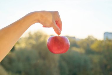 Yakın planda bir kırmızı elma, doğanın günbatımı arka planı.