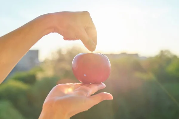 Una manzana roja en una mano de cerca, naturaleza puesta del sol cielo fondo — Foto de Stock