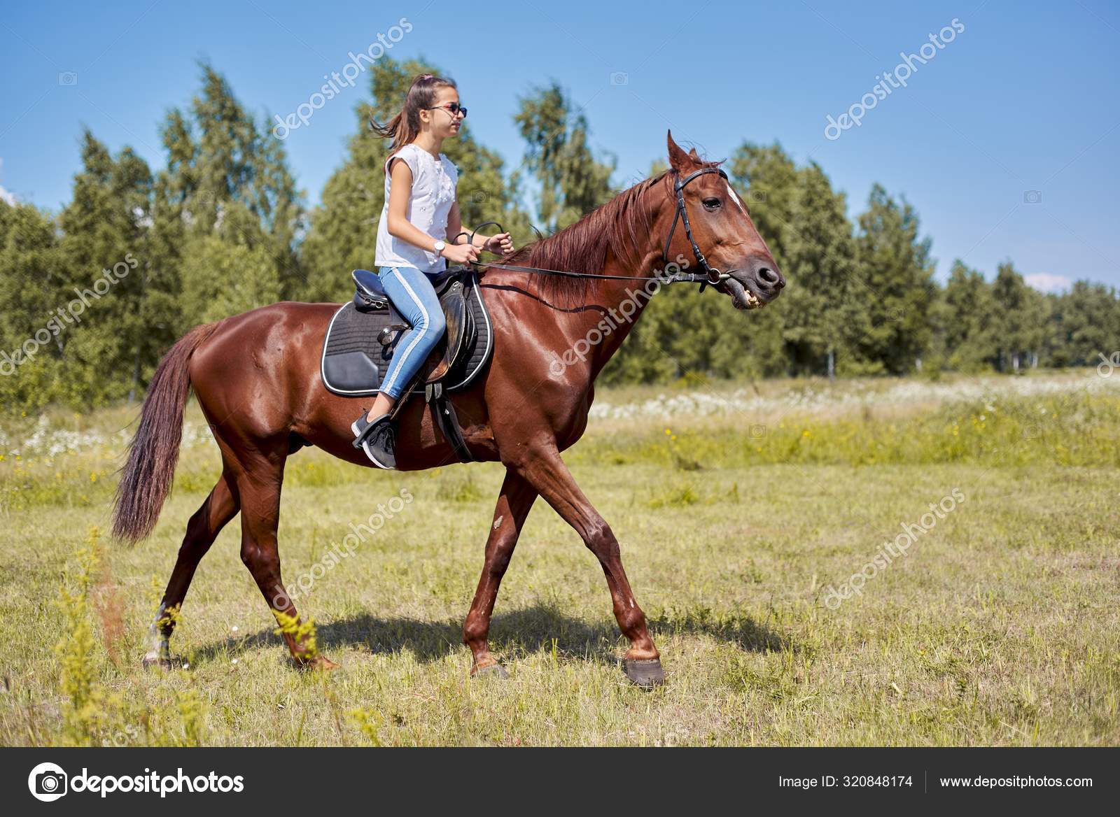 Mulher Cavaleira Cavalgando a Cavalo Marrom E Pulando a Cerca Na Arena De  Sandy Parkour Aperfeiçoamento Profissional Competitivo Imagem de Stock -  Imagem de fêmea, marrom: 165294797