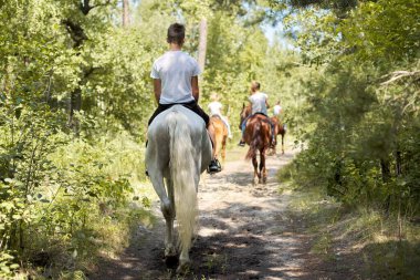 Group of teenagers on horseback riding in summer park clipart