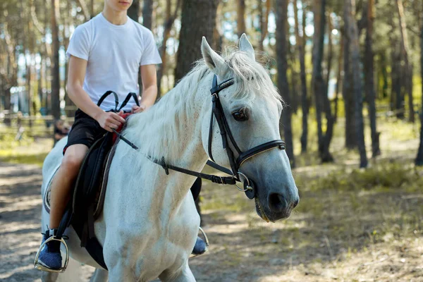 Primo piano di cavallo bianco in esecuzione con adolescente pilota ragazzo — Foto Stock