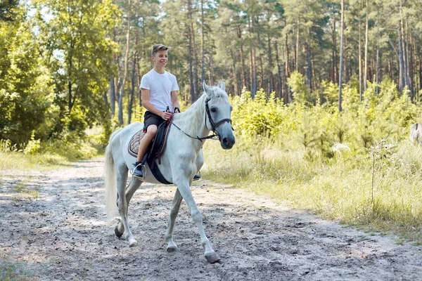 Spaziergänge zu Pferd, Teenager-Junge reitet weißes Pferd im Sommerwald — Stockfoto