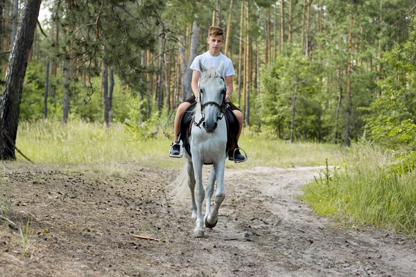 Kuda berjalan, remaja laki-laki naik kuda putih di hutan musim panas — Stok Foto