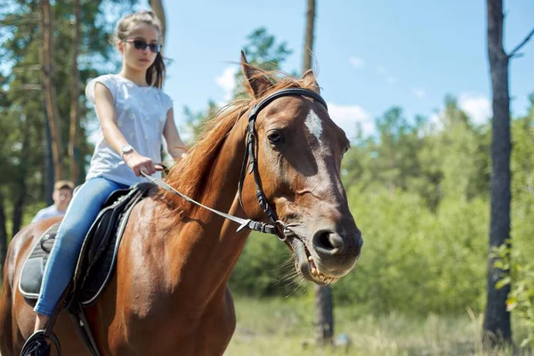 Nahaufnahme von braunem Pferd läuft mit jugendlichem Reitermädchen — Stockfoto