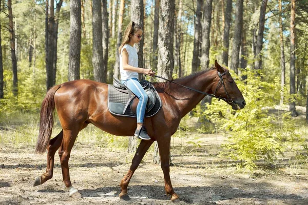 Tini lány lovaglás egy barna ló, lovaglás az emberek a parkban — Stock Fotó