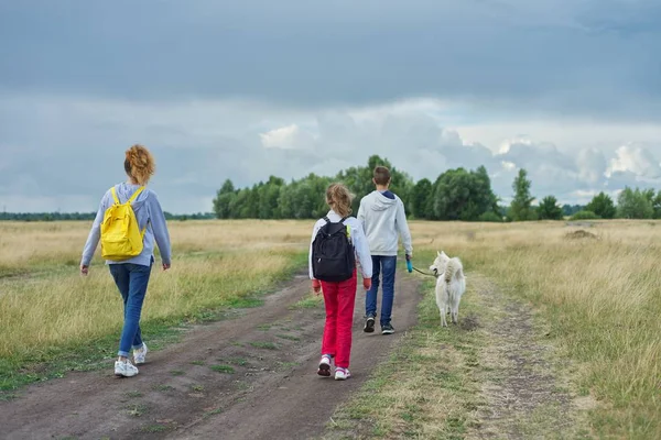 Tres niños con perro paseando por el camino del campo, vista desde atrás — Foto de Stock