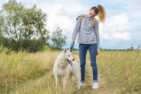 Vacker flicka med vit hund, tonåring promenader med husky husdjur — Stockfoto