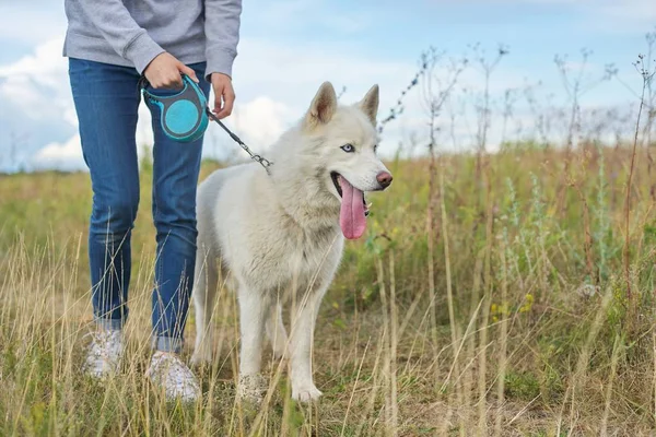 Amitié filles et chiens, adolescent et animal husky marche en plein air — Photo