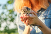 Novorozené kotě v rukou dospívající dívky, pozadí příroda nebe zahrada