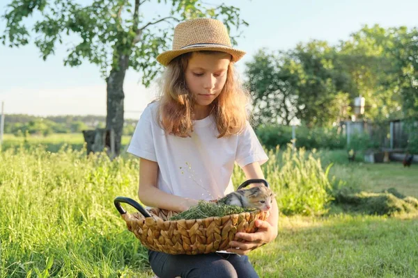 Nyfödd kattunge sittande i korg, flicka barn håller liten katt i hennes armar — Stockfoto