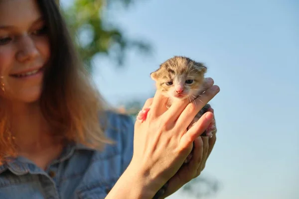 십 대 소녀의 손에 갓 태어난 새끼 고양이, 배경 하늘 정원 — 스톡 사진