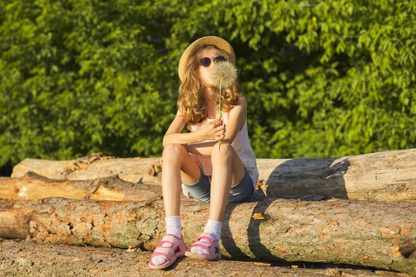 Sommer Outdoor-Porträt des romantischen Mädchens mit großen flauschigen Löwenzahn — Stockfoto
