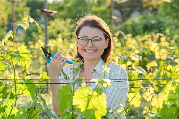 Wanita yang bekerja dengan semak-semak anggur, musim semi memangkas kebun anggur — Stok Foto