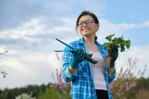 Portrait of mddle-aged woman in garden with tools, strawberry bushes — Stok Foto